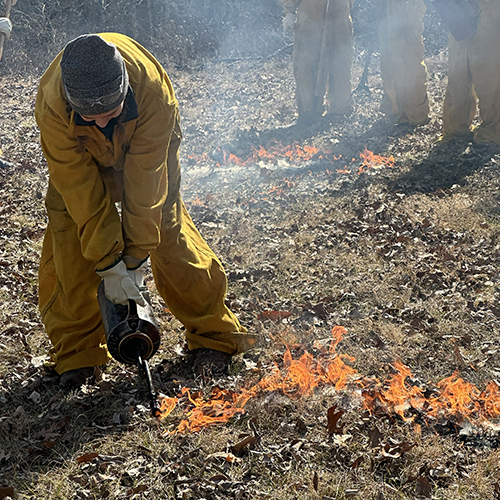 SIFT participant taking part in a prescribed burn